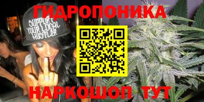 СК Кунгур