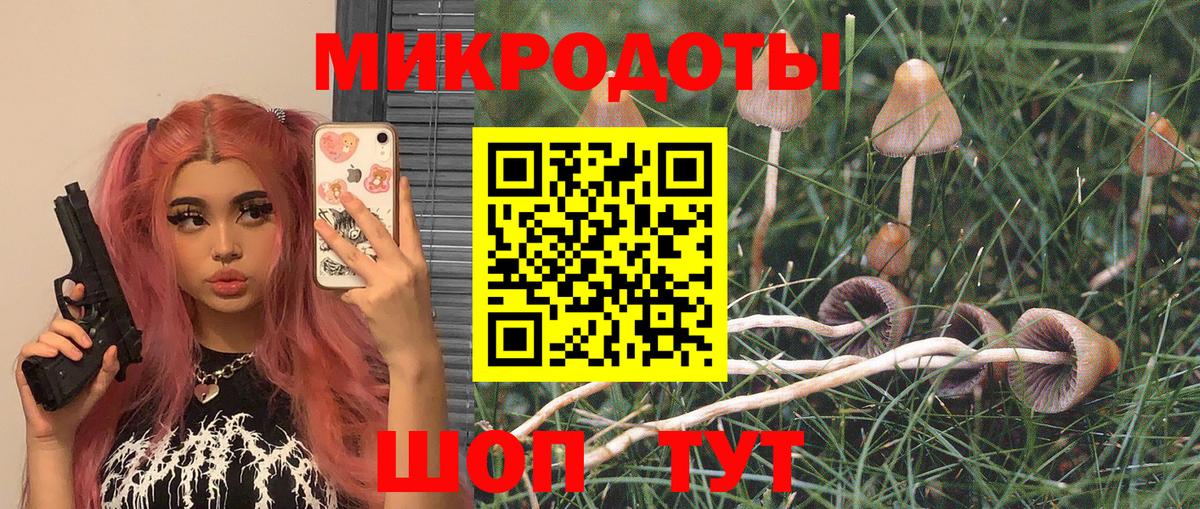 Киров  Галлюциногенные грибы Psilocybe  как найти   Вход с VPN 