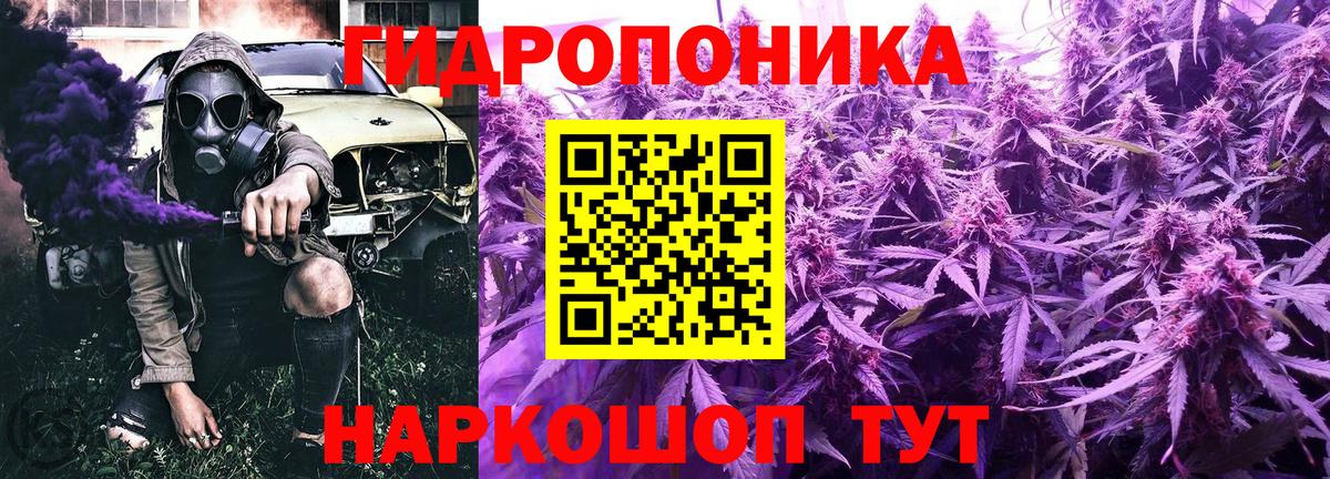 Шишки марихуана ГИДРОПОН  Каннабис Ganja  Киров  Вход с VPN 